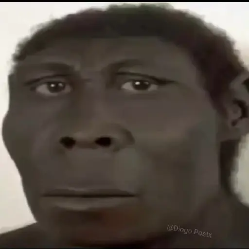 stickers_SOPANASCANJANGA_MEME