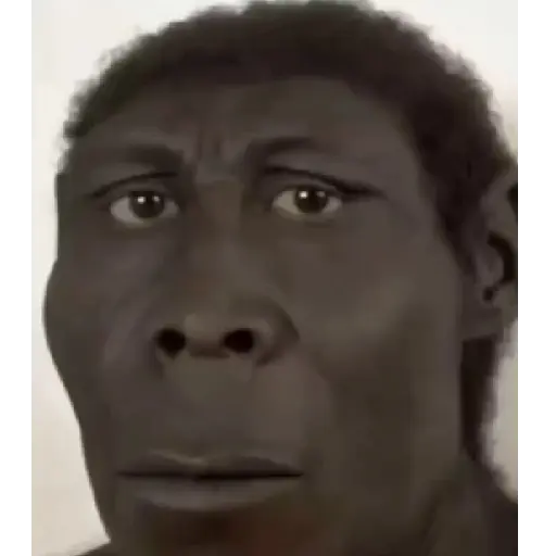 stickers_SOPANASCANJANGA_MEME