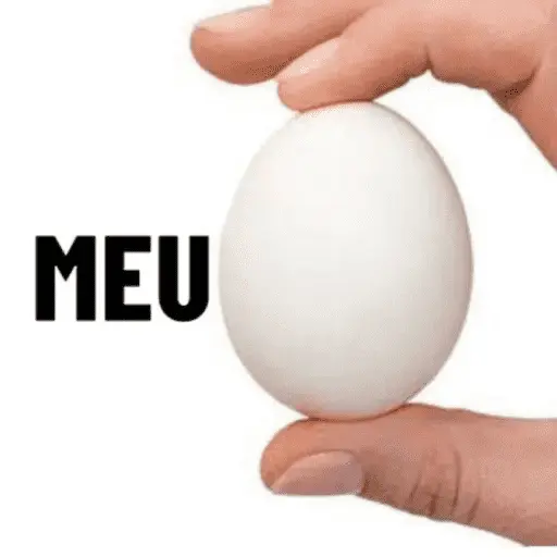 stickers_MEMES_PRA_VOCÊ_USAR