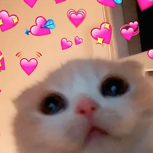 stickers_💞💖_AMOR_5_💖💞