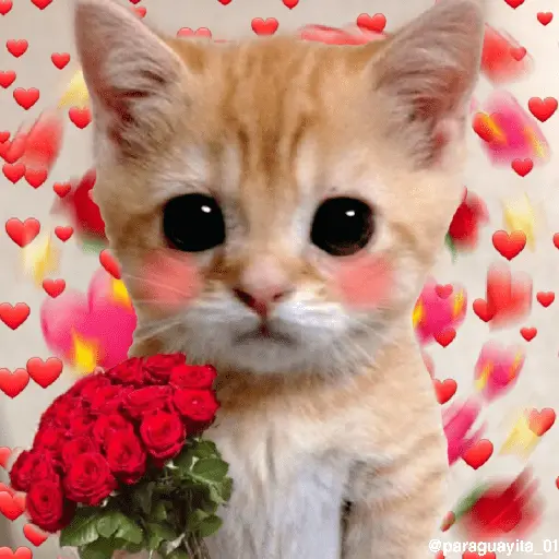 stickers_💞💖_AMOR_5_💖💞