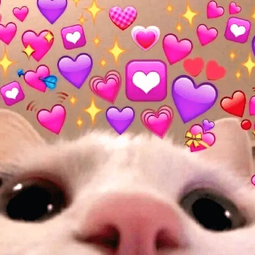 stickers_💞💖_AMOR_5_💖💞