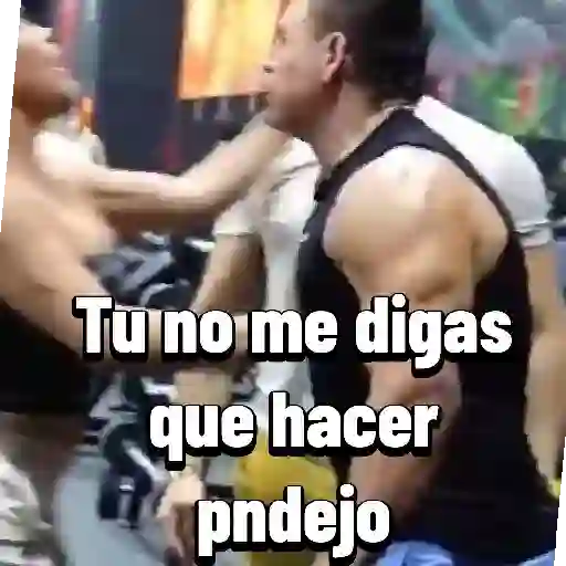 stickers_virales_tik_tok_