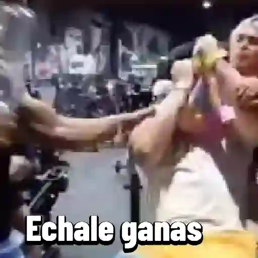 stickers_virales_tik_tok_