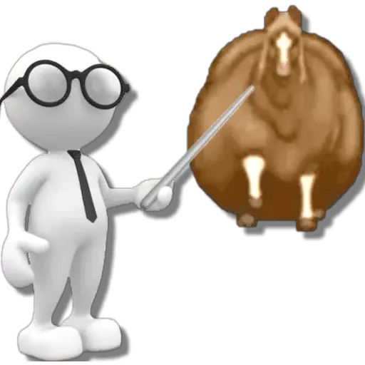 stickers_🐴🔥Fat_Horse_#2️⃣/TikTok🐴🔥
