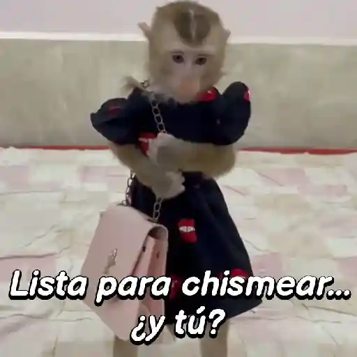 stickers_Monos_expresivos🙊🙉🙈