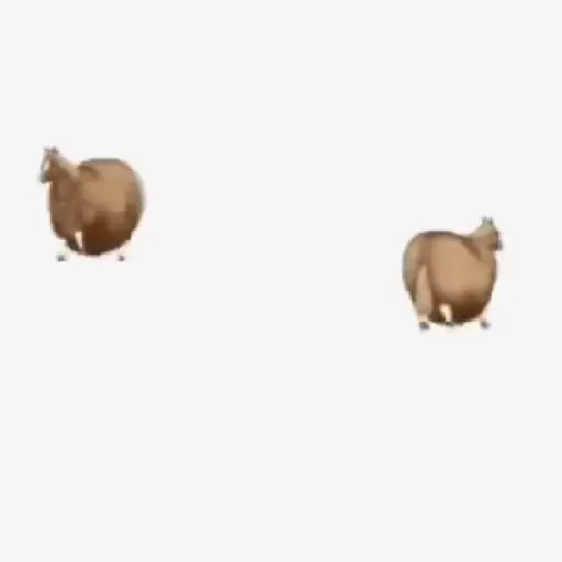 stickers_Animales_Dando_Vueltas_⭕