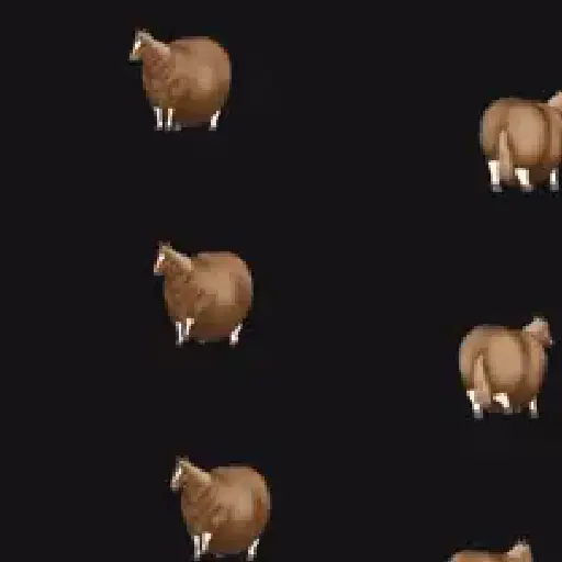 stickers_Animales_Dando_Vueltas_⭕