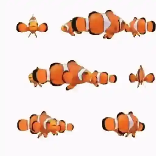 stickers_Animales_Dando_Vueltas_⭕