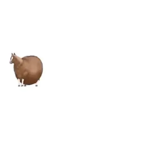 stickers_Animales_Dando_Vueltas_⭕