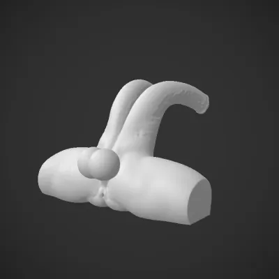 Anatomical feature. complex geometry, character.