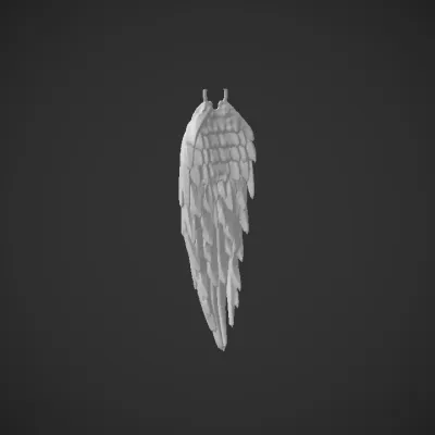 White angel wing with feathers. smooth edges, complex geometry, game-ready.