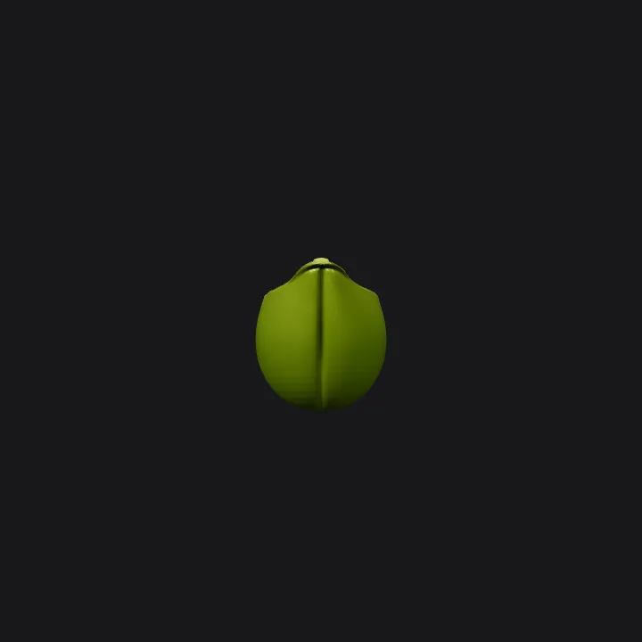A pea pod with six peas inside. smooth edges, simple geometry, symmetric geometry.