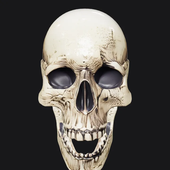 human skull illustration. sharp edges, complex geometry, symmetric geometry.