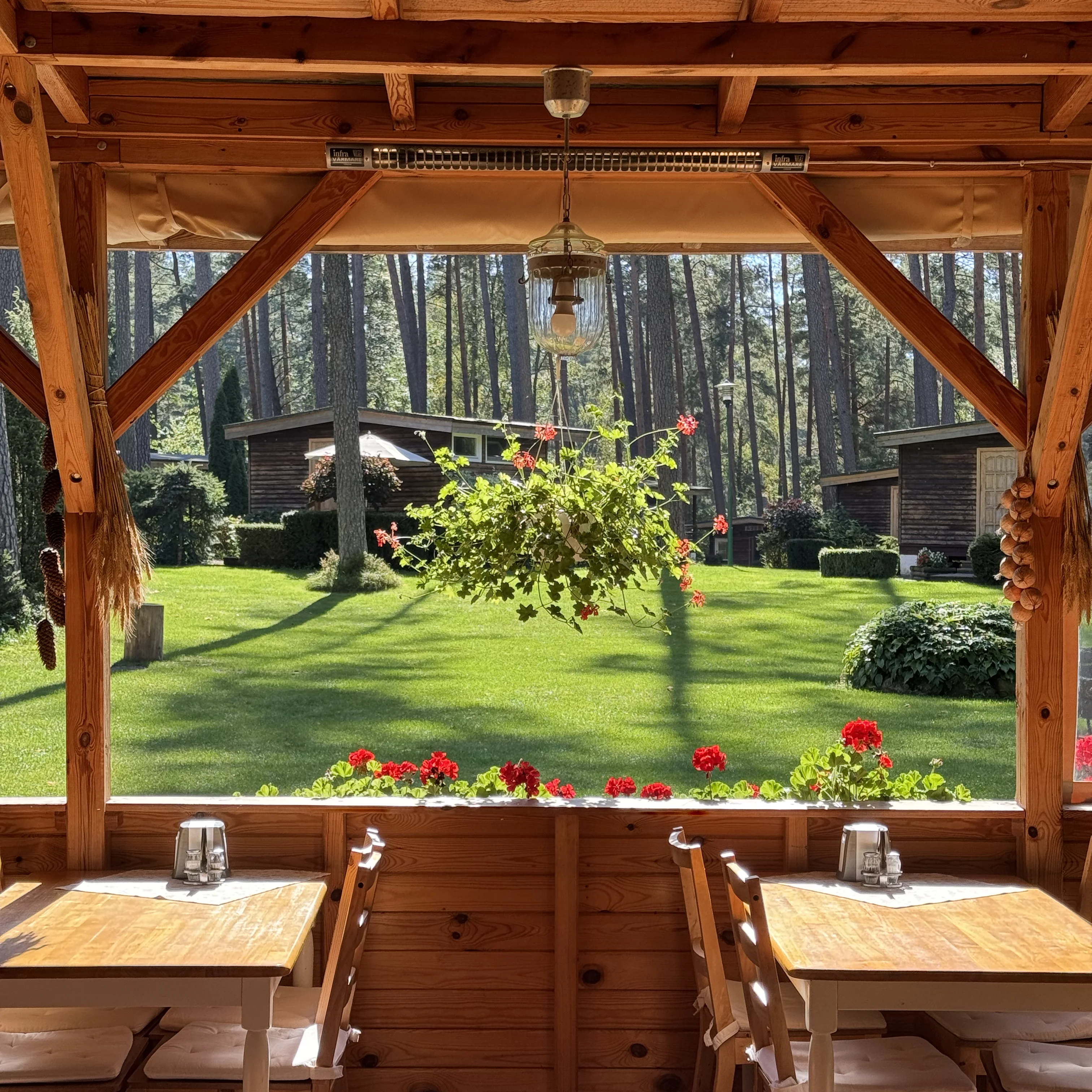Restauracja Zakątka Mazurskiego GIM — wnętrze z widokiem na bór sosnowy