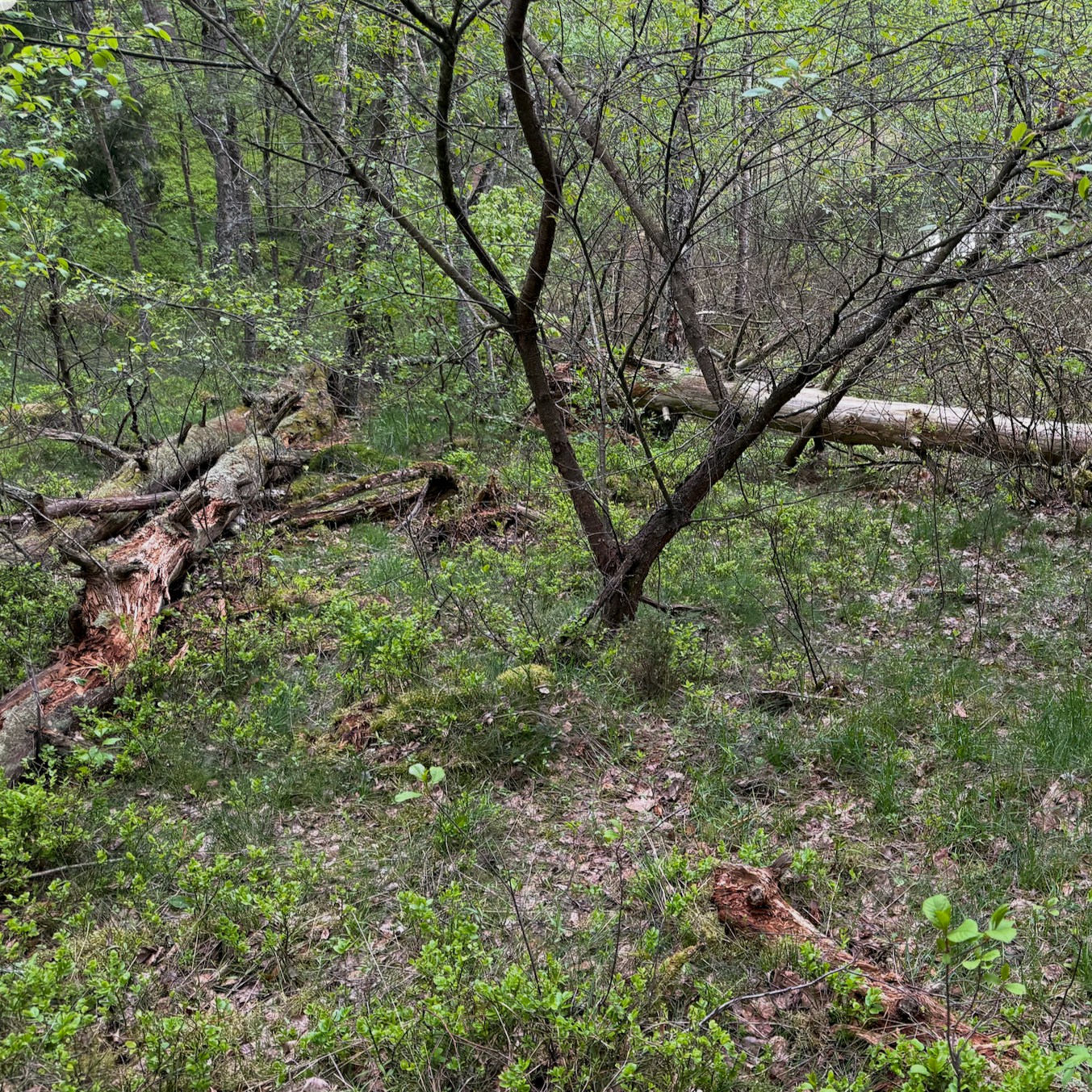 Rowery MTB