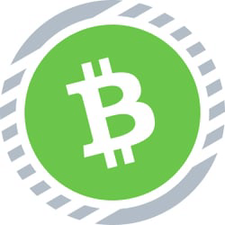 renBCH Icon