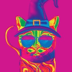 LiquiCats Icon