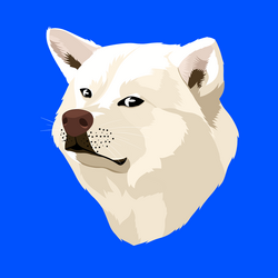 0x0C5142BC58f9A61AB8C3D2085DD2F4e550c5cE0B