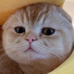 0x7A5f5CcD46EBd7aC30615836D988ca3BD57412b3