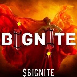 Bignite Icon