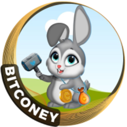 BITCONEY Icon