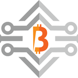 Bitpaid Icon