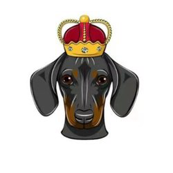 DogeKing Icon