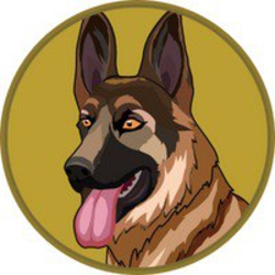 Berger Doge Coin Icon