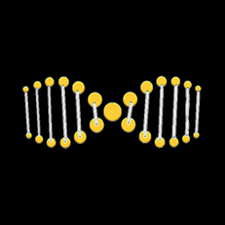 extraDNA Icon