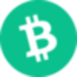 Bitcoin Cash Token Icon