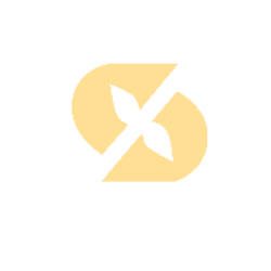 X-MASK Coin Icon