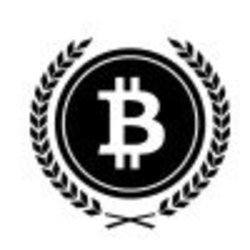 BITCOIN E-WALLET Icon