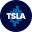 Mirror TSLA Token Icon