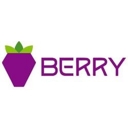 Berry Data Icon