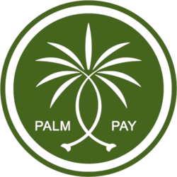 PalmPay Icon