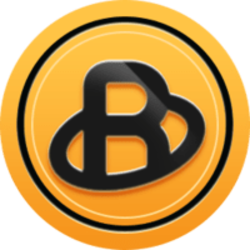 Bridge Coin Icon