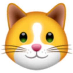 KittenFinance Icon