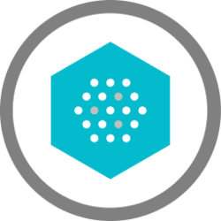 Nami Corporation Token Icon