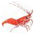 Shrimp Finance Icon