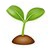 Tulip Seed Icon