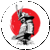 Samurai Icon