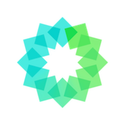Power Ledger Icon