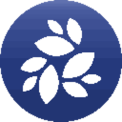 NKN Icon