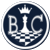 Chess Coin Icon