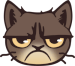 Grumpy Cat Icon