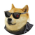 DOGEFI Icon