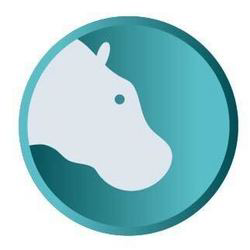 Hippopotamus Icon