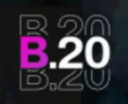 B.20 Icon