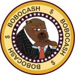 Bobo Cash Icon